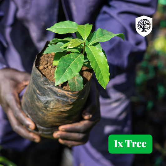 Forest Guardian - 1 tree