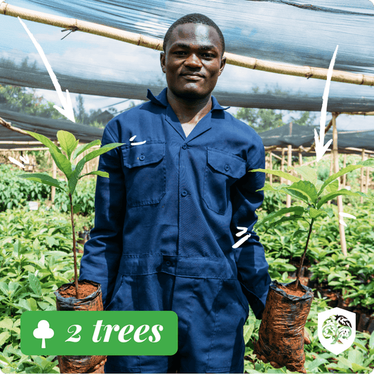 Forest Guardian - 2 trees