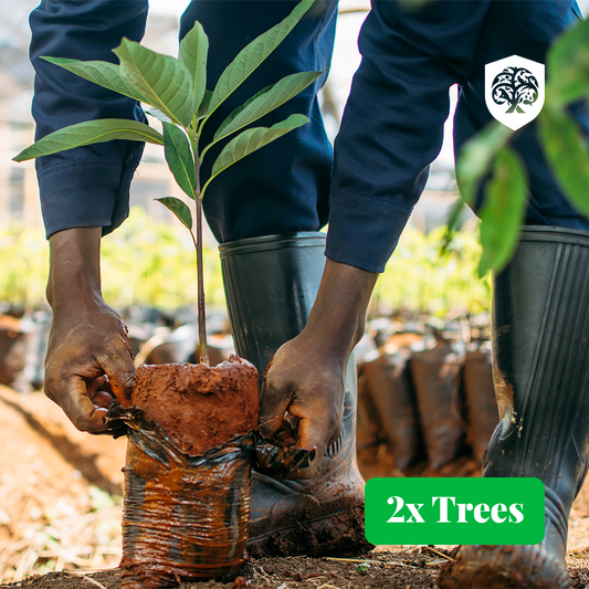 Forest Guardian - 2 trees