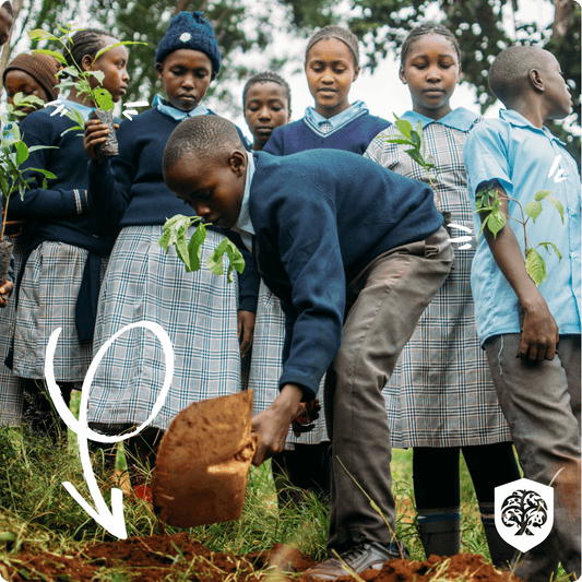 Forest Guardian - 5 trees