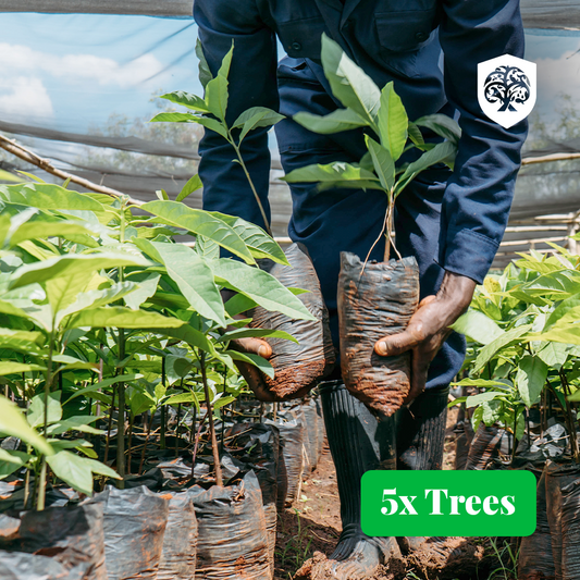 Forest Guardian - 5 trees